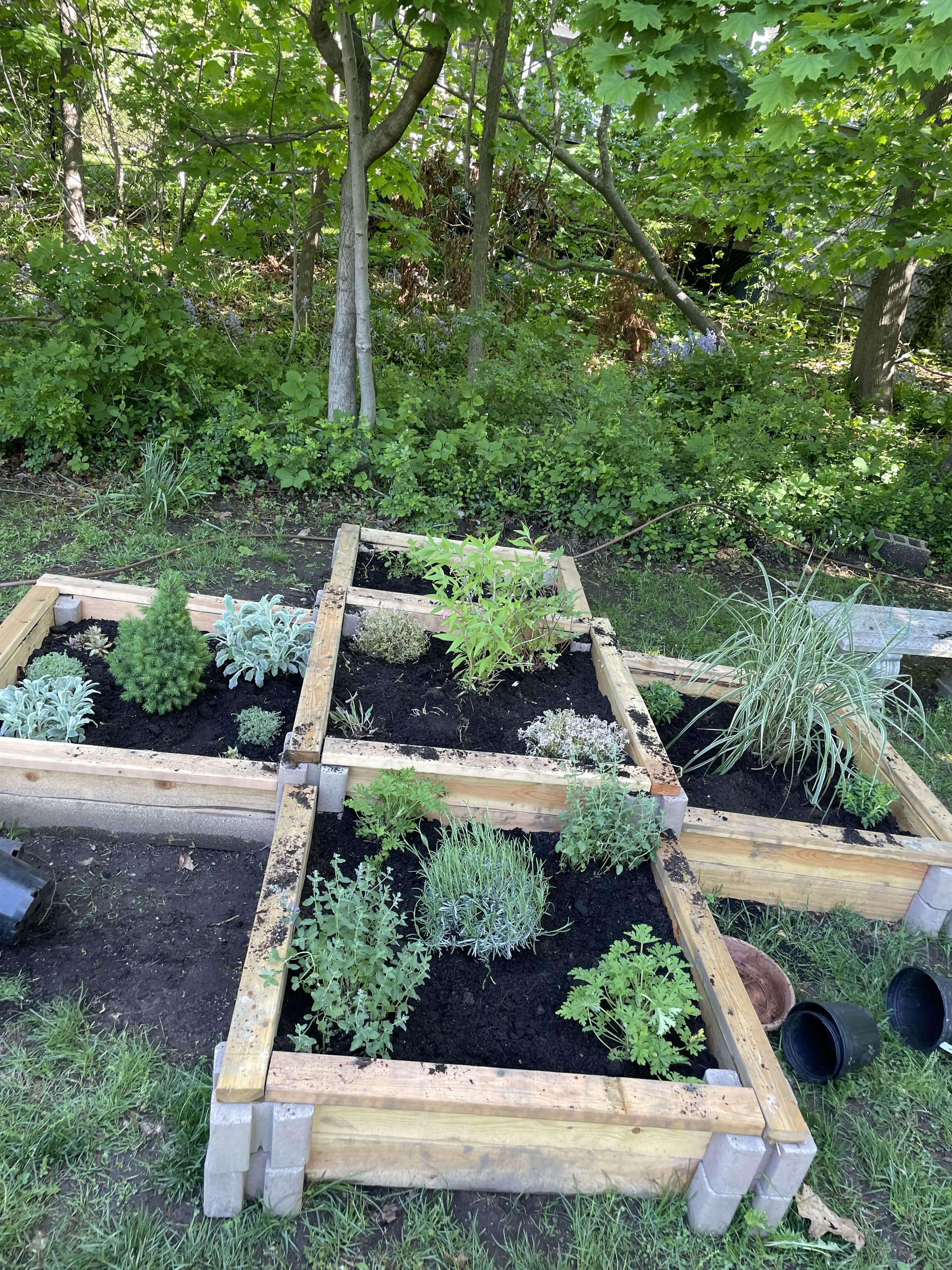 Plants